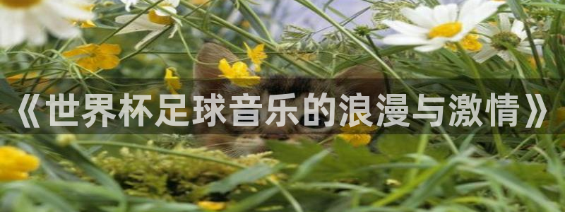 2026足球世界杯赛程时间表：《世界杯足球音乐的浪漫与激情》