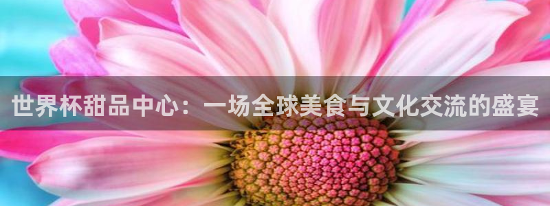 世界杯预选赛欧洲赛区积分榜：世界杯甜品中心：一场全球美食与文化交流的盛宴