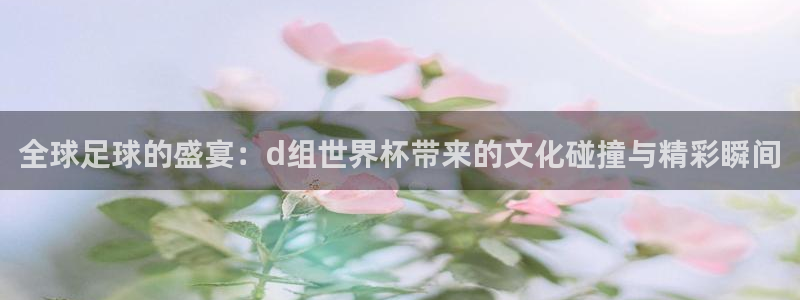 女足世界杯直播在线观看免费高清:全球足球的盛宴:d组世界杯带来的文化碰撞与精彩瞬间