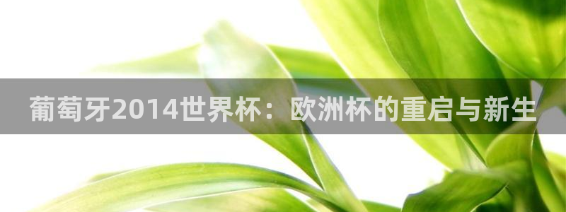 世界杯足球赛2026赛程时间：葡萄牙2014世界杯：欧洲杯的重启与新生