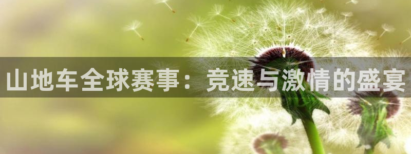 世界杯预选赛规则：山地车全球赛事：竞速与激情的盛宴