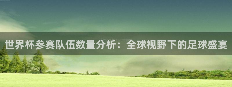 世预赛免费直播入口：世界杯参赛队伍数量分析：全球视野下的足球盛宴