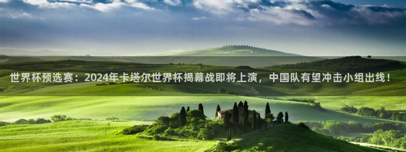 免费看足球直播比赛：世界杯预选赛：2024年卡塔尔世界杯揭幕战即将上演，中国队有望冲击小组出线！