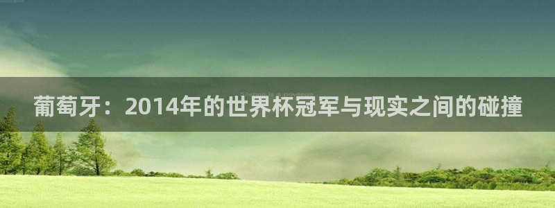 世界杯赛程2026：葡萄牙：2014年的世界杯冠军与现实之间的碰撞