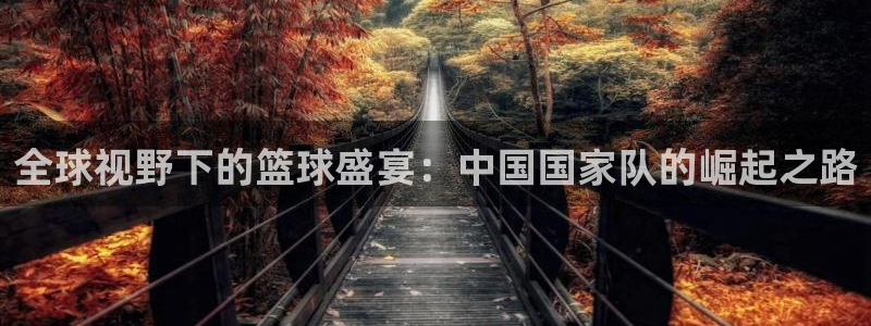 2026世界杯欧洲预选赛赛程表：全球视野下的篮球盛宴：中国国家队的崛起之路