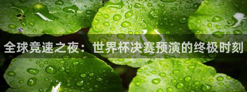 世预赛欧洲赛程表：全球竞速之夜：世界杯决赛预演的终极时刻
