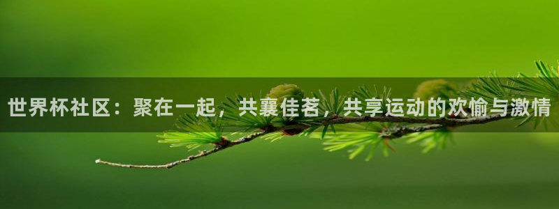 亚洲杯比赛直播：世界杯社区：聚在一起，共襄佳茗，共享运动的欢愉与激情