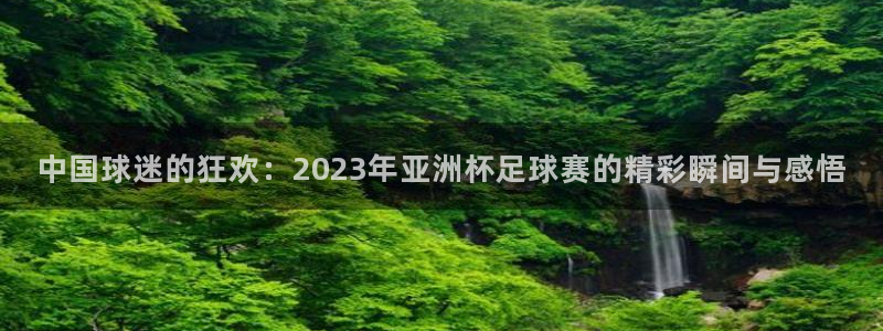 2026世界杯32强对阵图表：中国球迷的狂欢：2023年亚洲杯足球赛的精彩瞬间与感悟