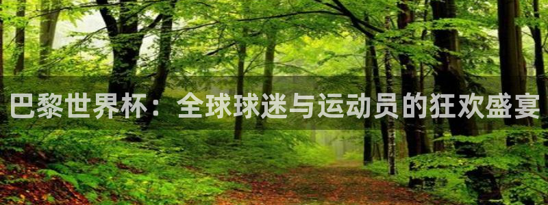 26世界杯：巴黎世界杯：全球球迷与运动员的狂欢盛宴
