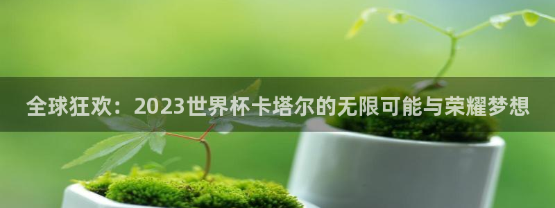 世界杯视频：全球狂欢：2023世界杯卡塔尔的无限可能与荣耀梦想