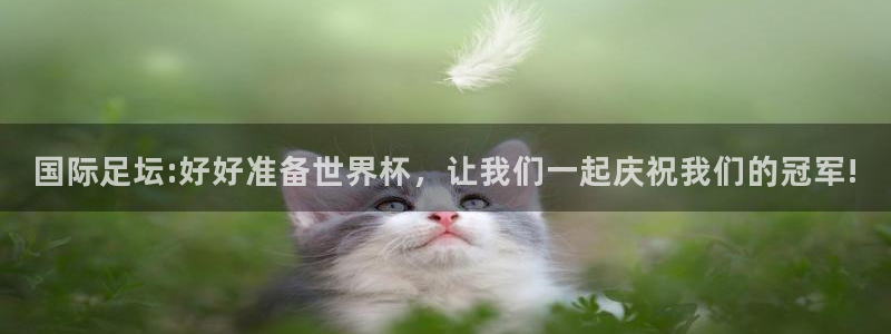 世界杯比赛赛程：国际足坛:好好准备世界杯，让我们一起庆祝我们的冠军!
